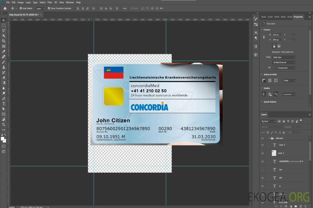 Carte d'assurance maladie du Liechtenstein template